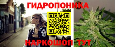 a pvp Кунгур