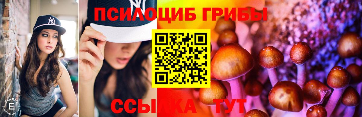 Псилоцибиновые грибы мицелий Каменка